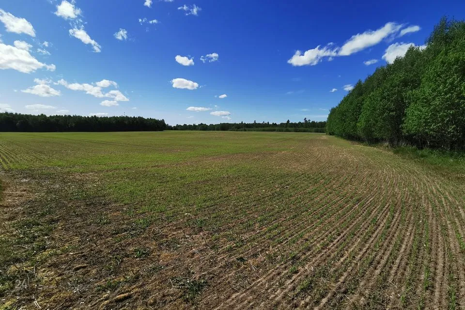 Maatulundusmaa, 22000 m² Maa - Kose vald, Paunküla - foto 4