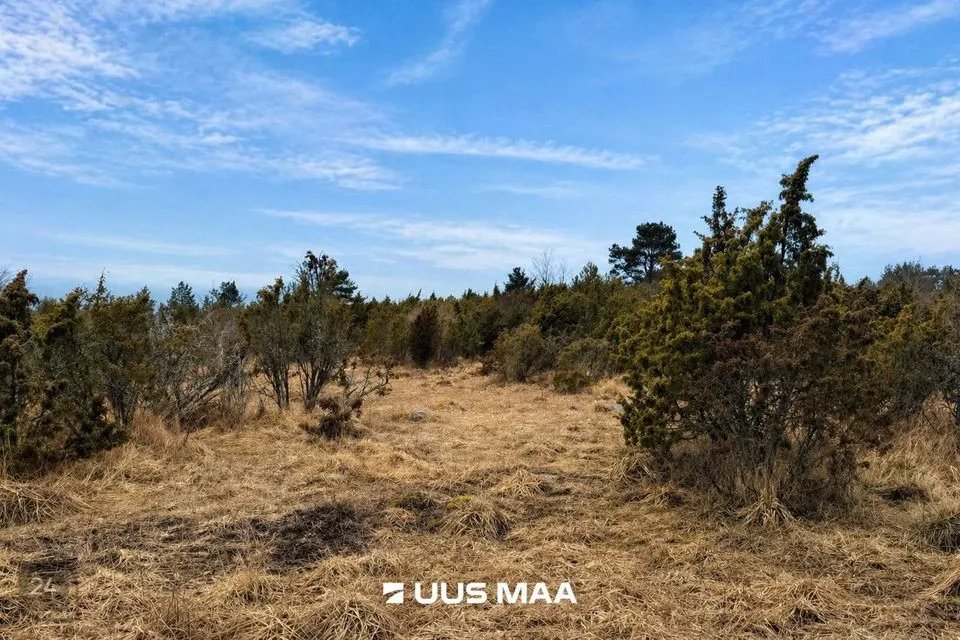 Maatulundusmaa, 23539 m² участок в Lääneranna vald, Saulepi küla - фото 3