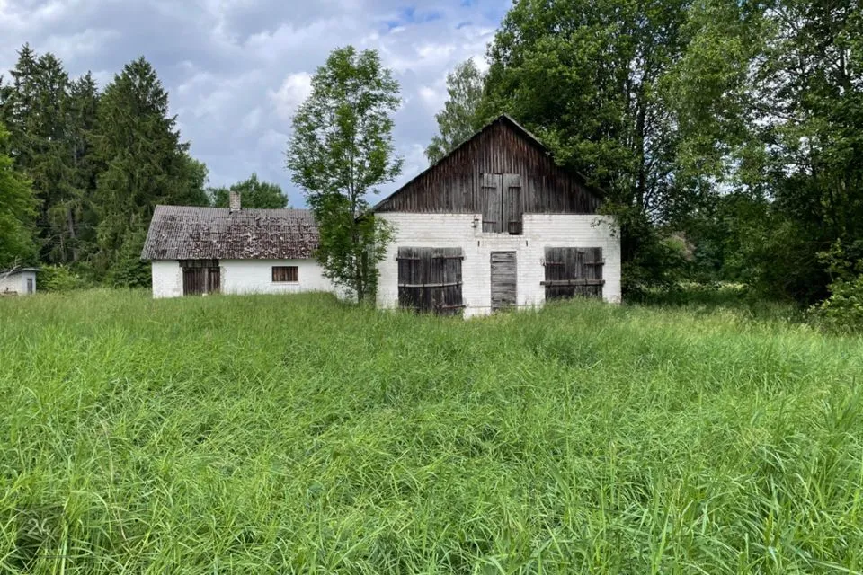 Ladu või Tootmine, 180 m² Äripind - Türi vald, Kurla küla - foto 5