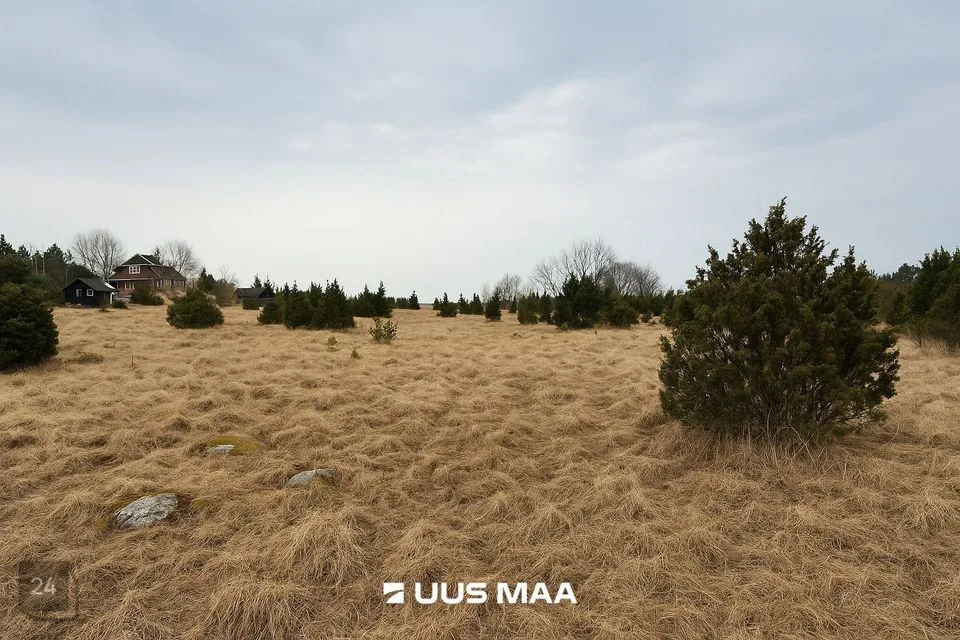 Maatulundusmaa, 23539 m² Maa  -  Lääneranna vald, Saulepi küla - foto 2