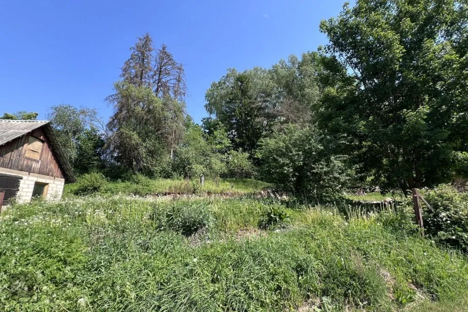 Elamumaa, 2138 m² Maa  -  Kastre vald, Päkste küla - foto 3