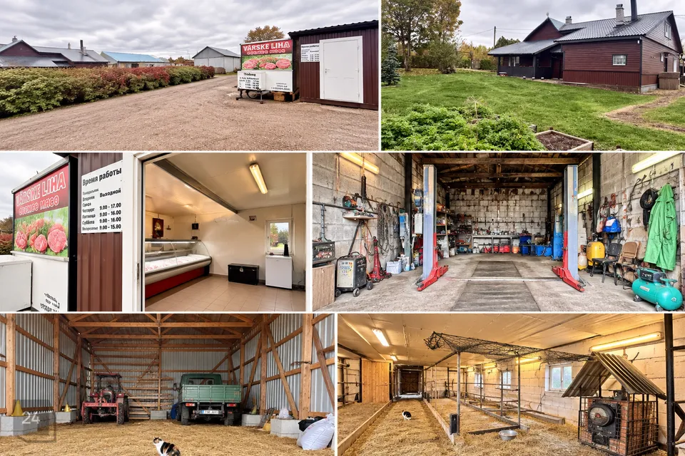 3-toaline Maja  -  Narva-Jõesuu linn, Soldina küla - foto 5