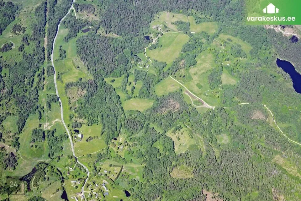 Maatulundusmaa, 165300 m² Maa  -  Rõuge vald, Villa küla - foto 5