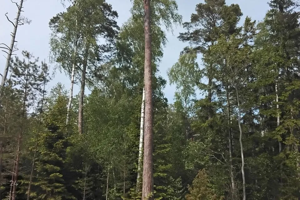 Elamumaa, 5250 m² Maa - Hiiumaa vald, Kalana küla