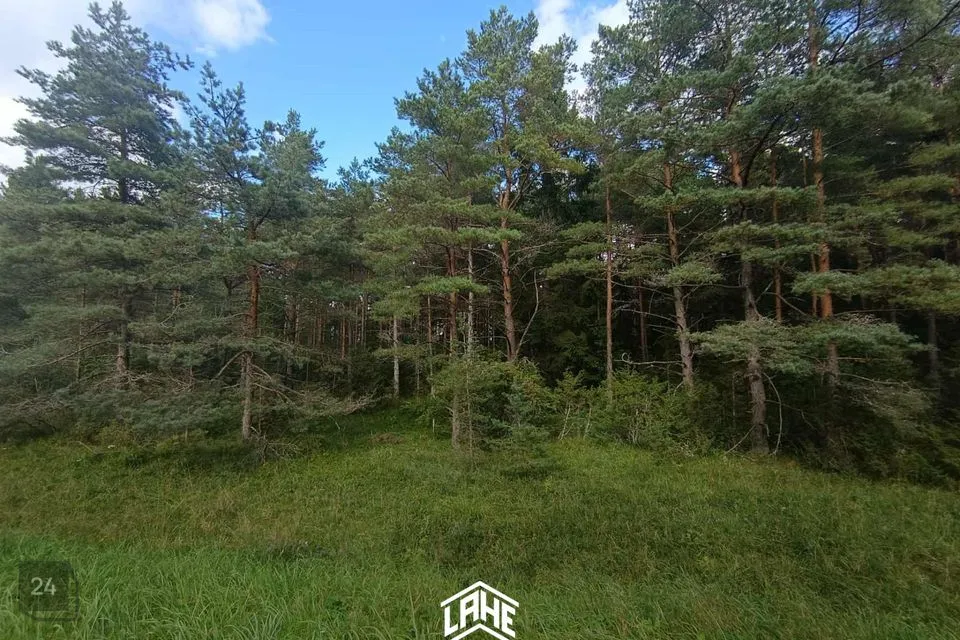 Maatulundusmaa, 21306 m² участок в Lääne-Harju vald, Keelva küla