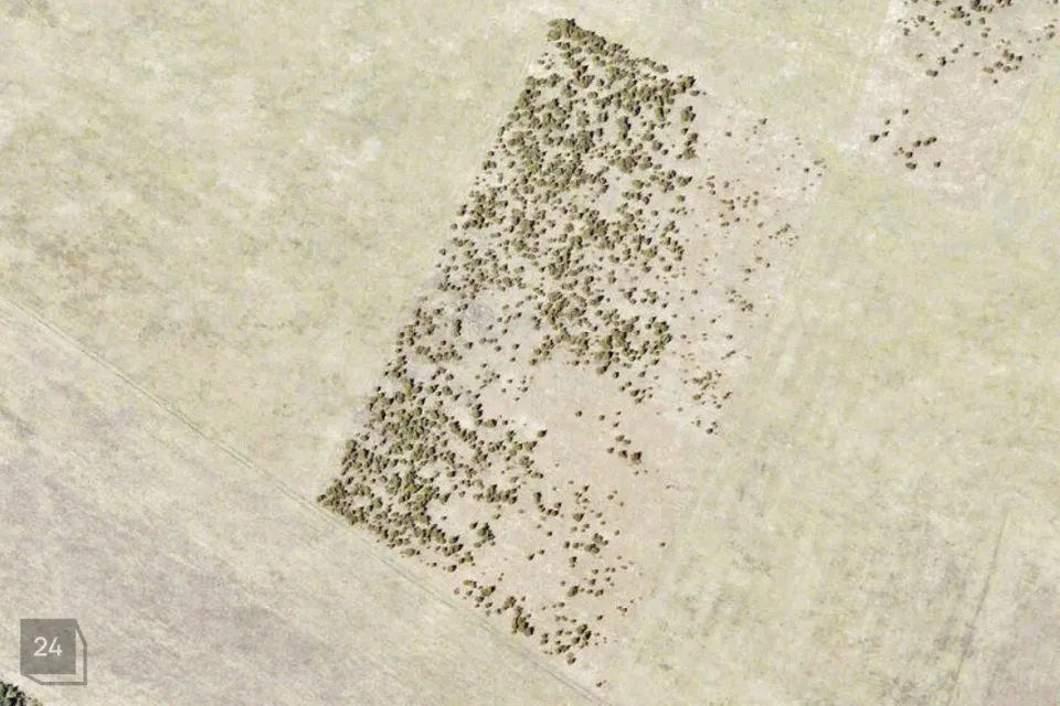 Maatulundusmaa, 19602 m² Maa  -  Vormsi vald, Suuremõisa küla - foto 3