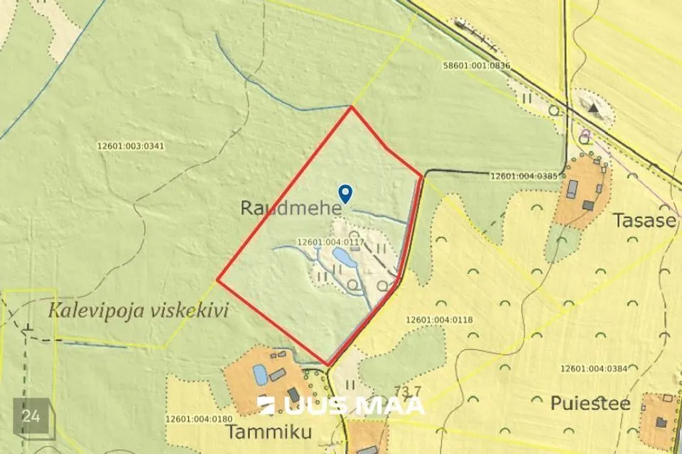 Cultivated land, 33854 m² land in Peipsiääre vald, Kõdesi küla - photo 3