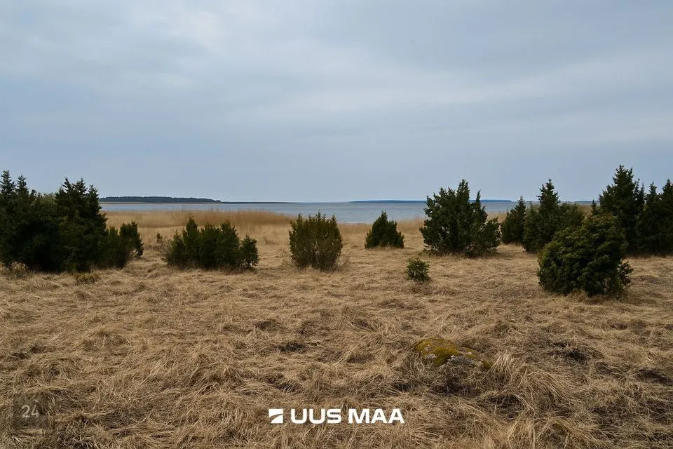Maatulundusmaa, 23539 m² Maa  -  Lääneranna vald, Saulepi küla - foto 4