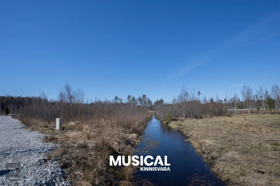 2071 m² Maa  -  Alutaguse vald, Kuru küla - foto 3
