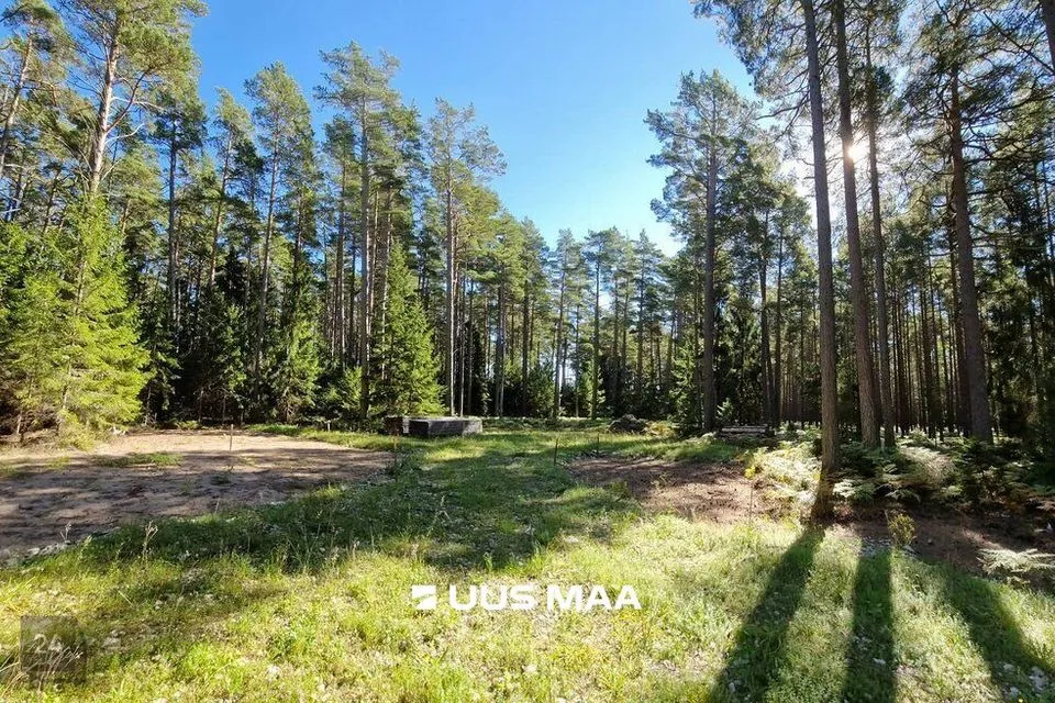 Elamumaa, 10097 m² Maa  -  Hiiumaa vald, Kalana küla - foto 4