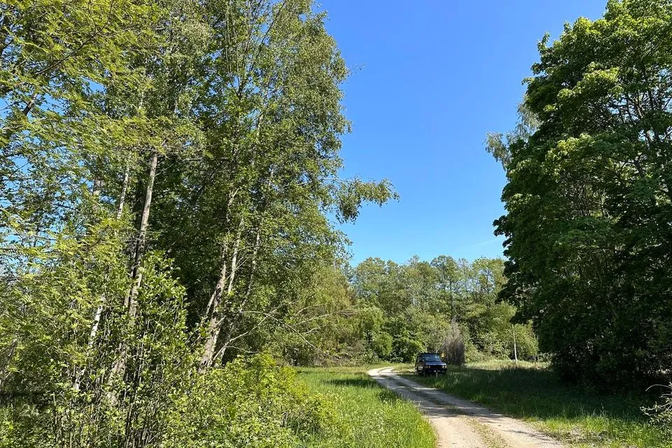 Maatulundusmaa, 9016 m² участок в Hiiumaa vald, Tammistu küla