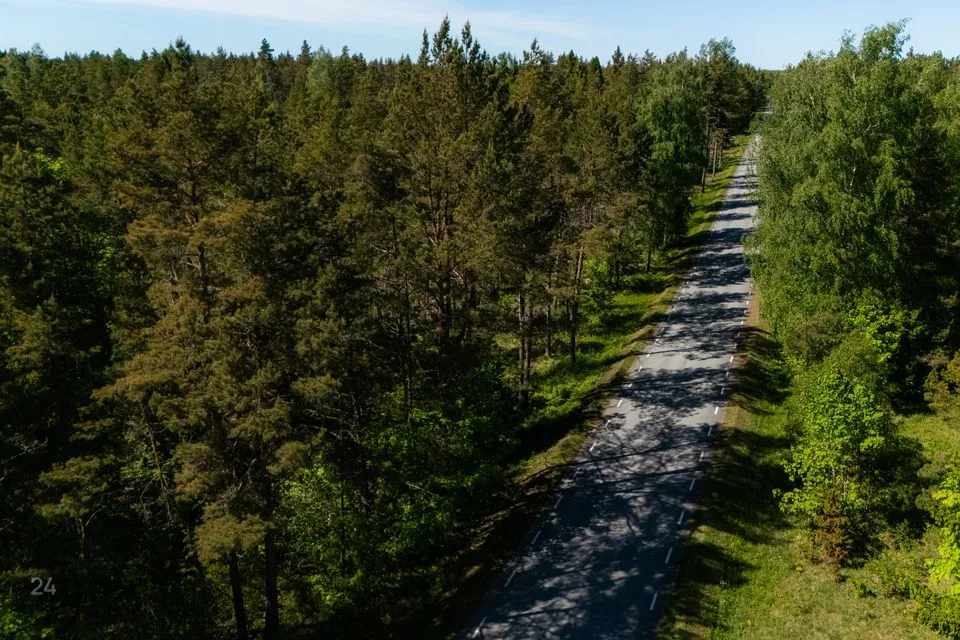 Maatulundusmaa, 12572 m² участок в Muhu vald, Rinsi küla - фото 2