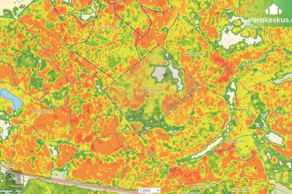 Elamumaa, 22100 m² Maa  -  Rõuge vald, Saluora küla - foto 4