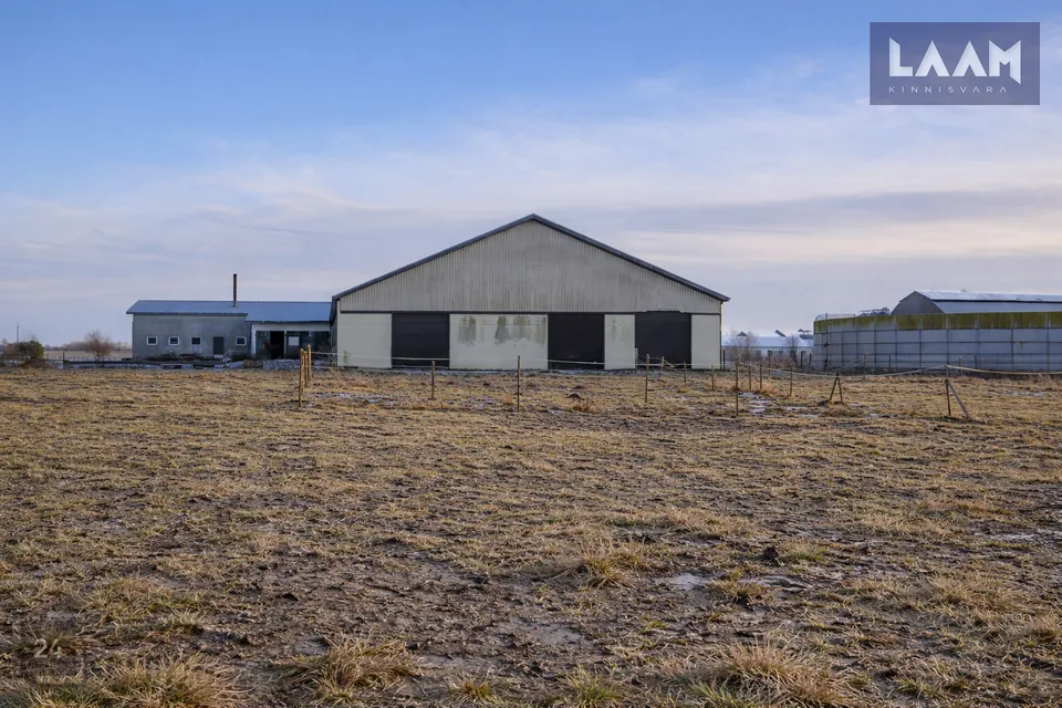 Производство, 2420 m² Бизнес-площадь в Paide linn, Viisu küla