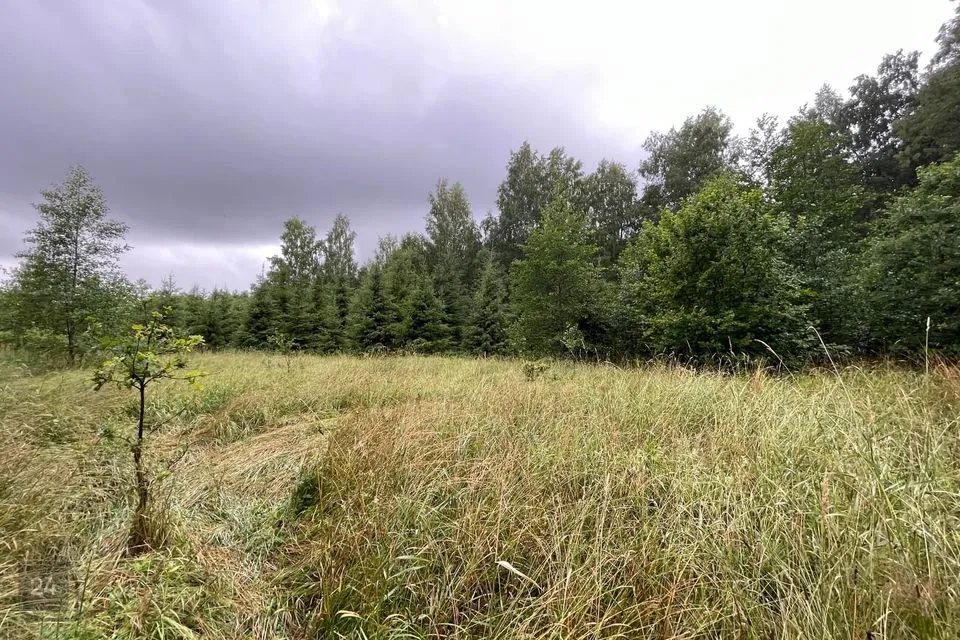 Maatulundusmaa, 47800 m² участок в Saaremaa vald, Metsara küla