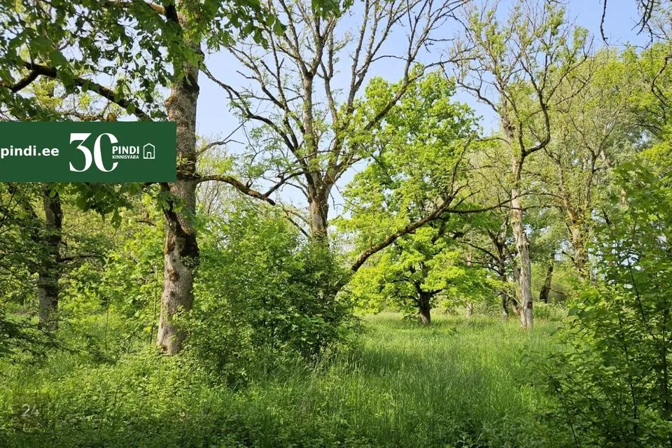 Maatulundusmaa, 16840 m² Maa - Märjamaa vald, Vana-Vigala küla - foto 5