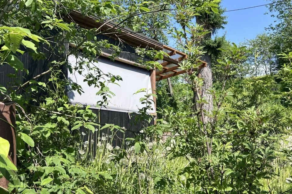 Elamumaa, 2138 m² Maa  -  Kastre vald, Päkste küla - foto 5