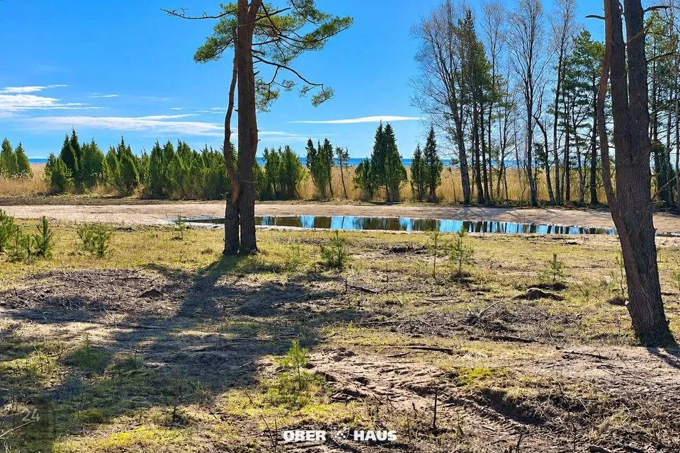 Elamumaa, 24500 m² Maa - Saaremaa vald, Mändjala küla