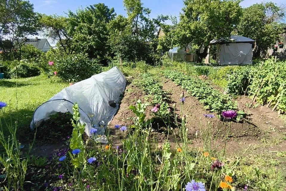 3-toaline Korter  -  Rakvere linn - foto 4