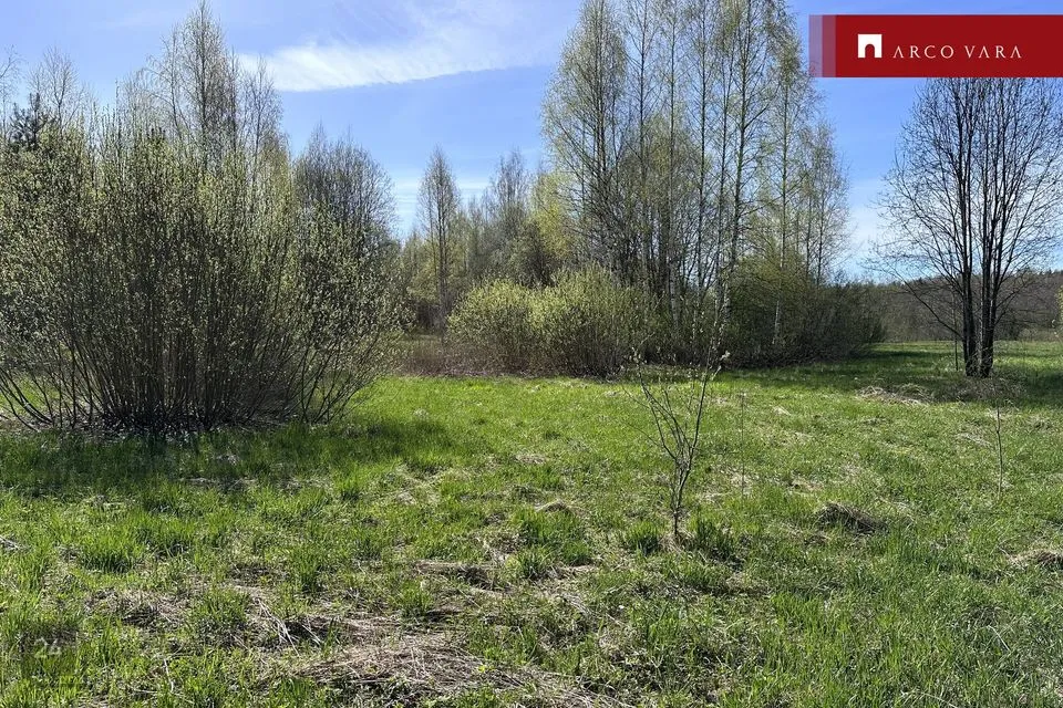 Maatulundusmaa, 49806 m² Maa  -  Alutaguse vald, Rannapungerja küla - foto 3