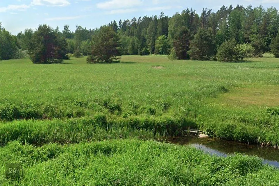 Maatulundusmaa, 12231 m² участок в Türi vald, Kolu küla - фото 4