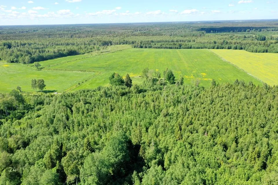 Maatulundusmaa, 38074 m² Maa  -  Järva vald, Jõeküla - foto 2