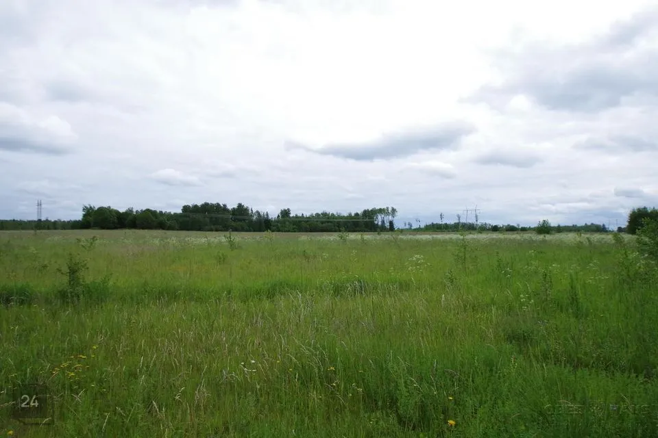 Maatulundusmaa, 20100 m² Maa - Anija vald, Lükati küla - foto 3