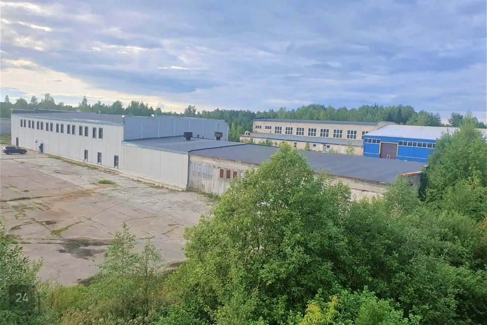 Warehouse or Manufacture, 10000 m² business in Narva-Jõesuu linn, Mustanina küla