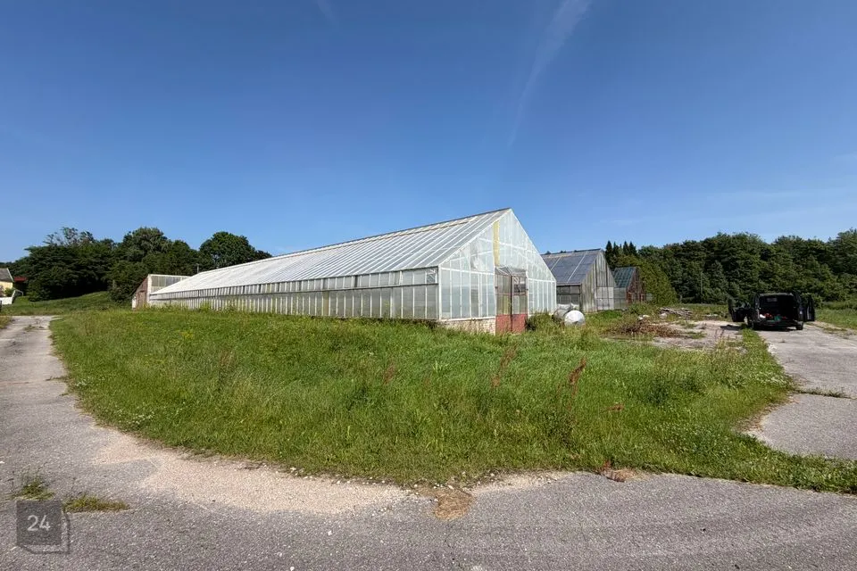 Tootmismaa, 12540 m² Maa - Järva vald, Aravete alevik
