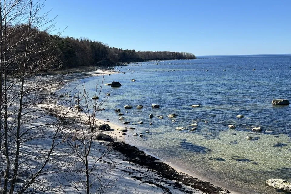 Elamumaa, 10238 m² Maa  -  Harku vald, Suurupi küla - foto 2