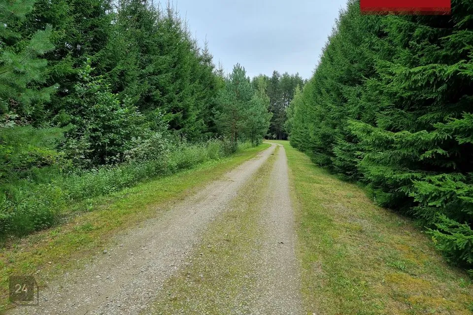 15096 m² Maa - Häädemeeste vald, Laadi küla - foto 4