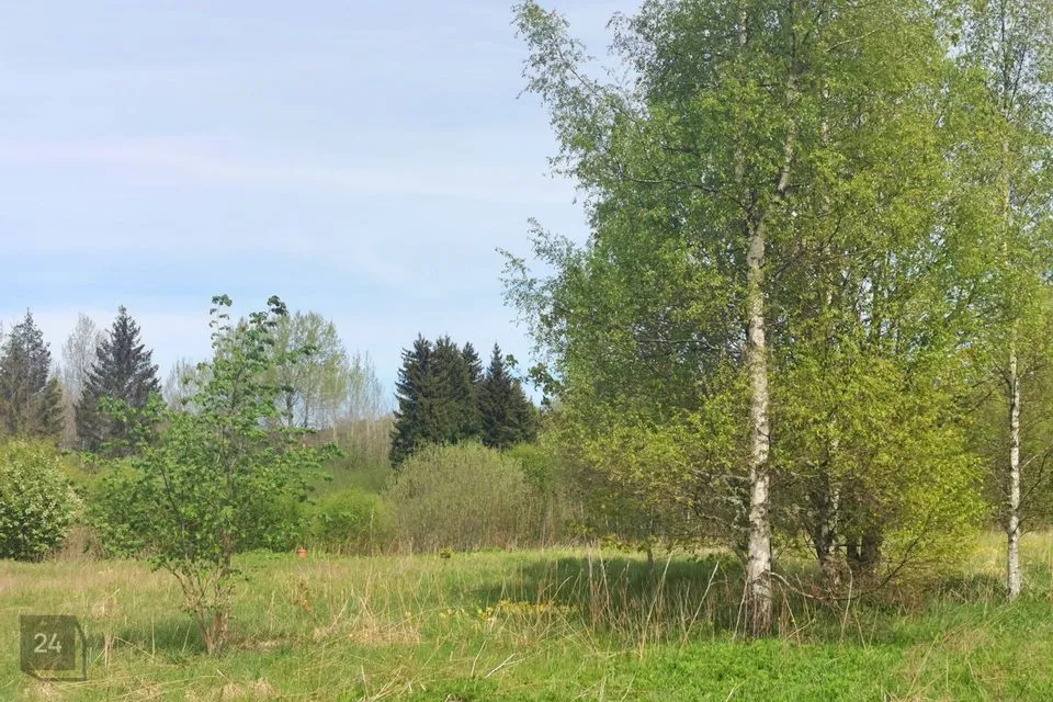 Cultivated land, 21300 m² land in Lääne-Nigula vald, Keedika küla