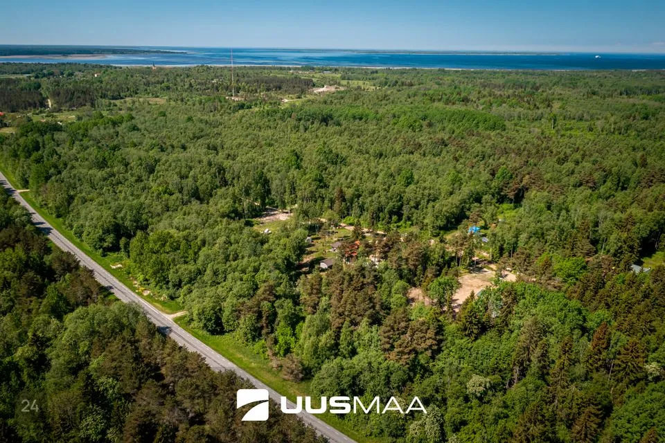 Elamumaa, 19268 m² Maa  -  Lääne-Harju vald, Madise küla - foto 2