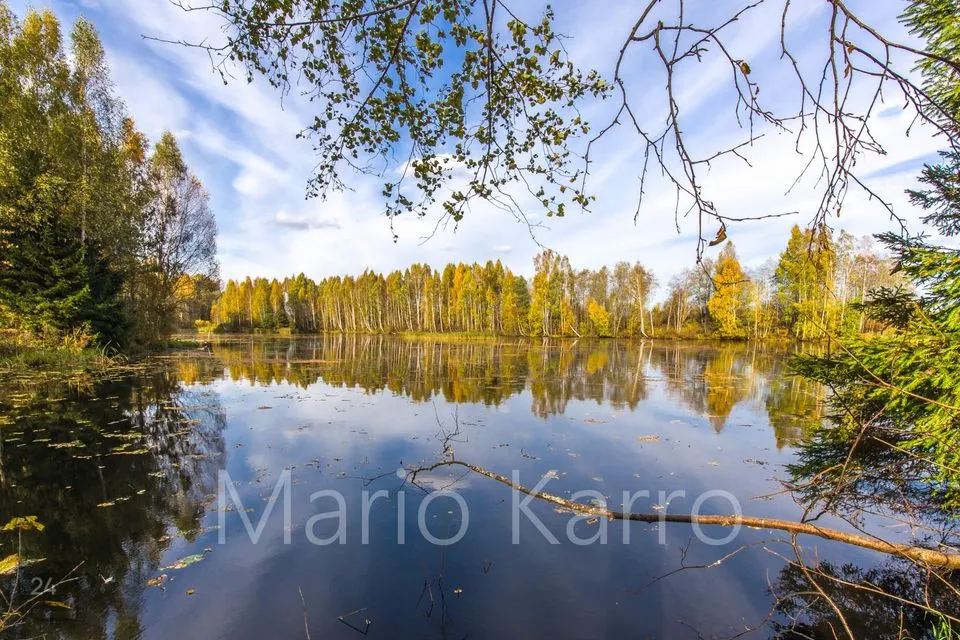 Maatulundusmaa, 33895 m² участок в Mulgi vald, Penuja küla - фото 4