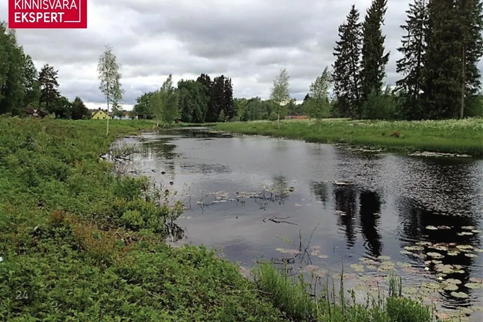 Maatulundusmaa, 30900 m² Maa - Põhja-Pärnumaa vald, Suurejõe küla - foto 2
