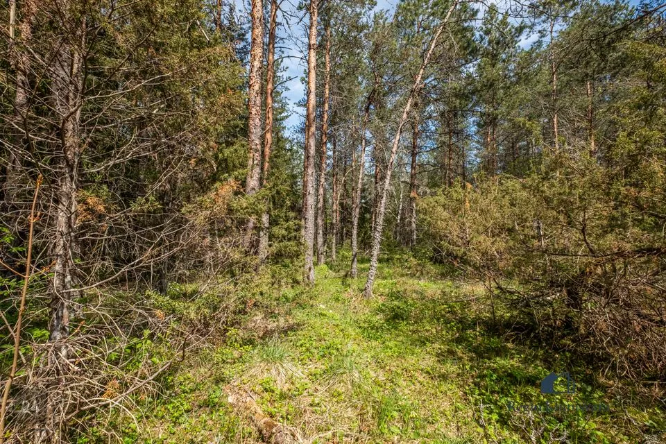 Maatulundusmaa, 10113 m² участок в Lääne-Harju vald, Maeru küla