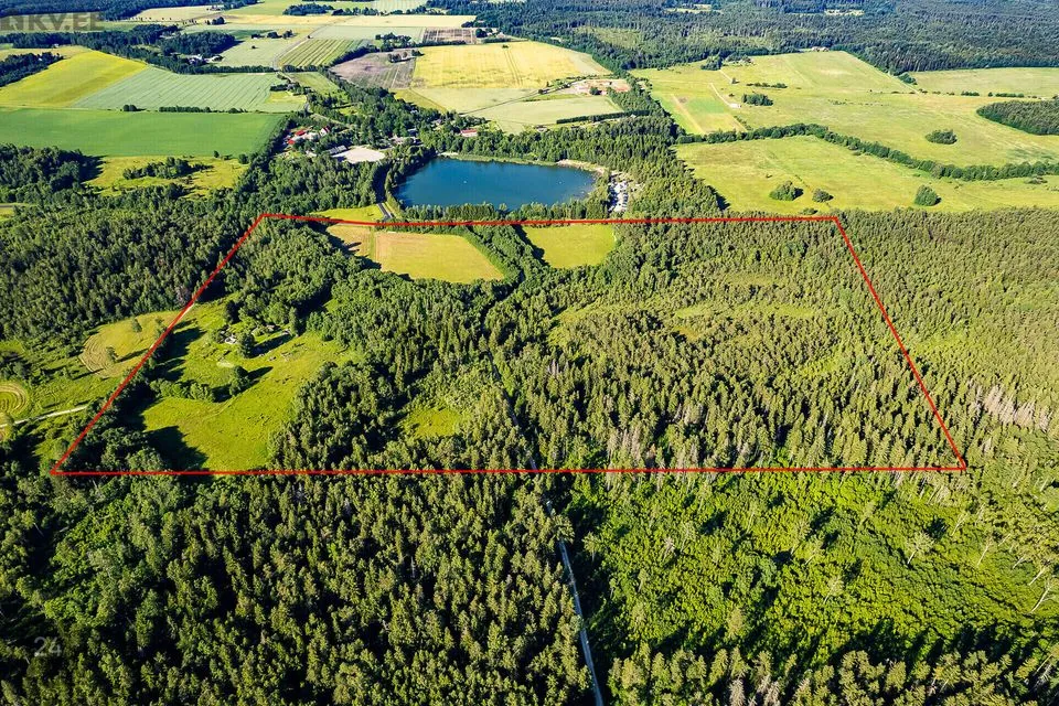 Maatulundusmaa, 260614 m² Maa  -  Saue vald, Pärinurme küla - foto 2