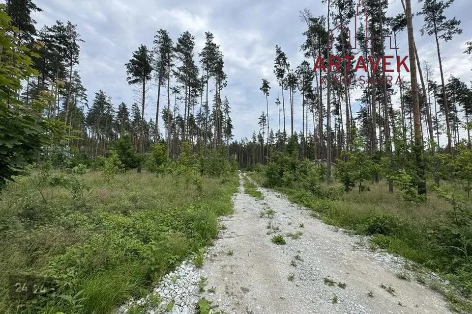 Maatulundusmaa, 8003 m² участок в Alutaguse vald, Katase küla - фото 5