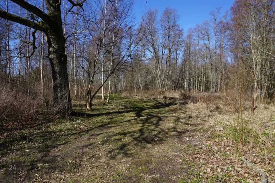 Elamumaa, 26395 m² Maa - Hiiumaa vald, Haldreka küla