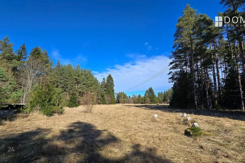 Земля жилой застройки, 10000 m² участок в Saaremaa vald, Viki küla - фото 2
