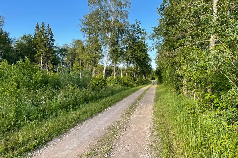Maatulundusmaa, 26555 m² Maa - Saaremaa vald, Mõntu küla - foto 4