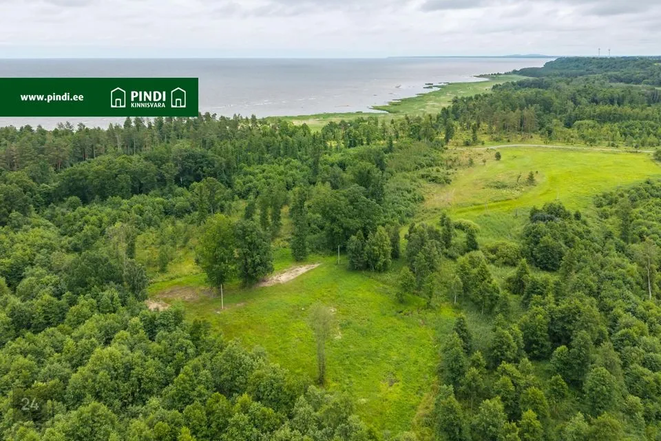Maatulundusmaa, 3099 m² Maa - Viru-Nigula vald, Kalvi küla - foto 4
