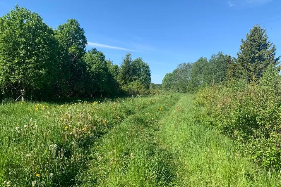 Maatulundusmaa, 266412 m² Maa  -  Saku vald, Kajamaa küla - foto 5