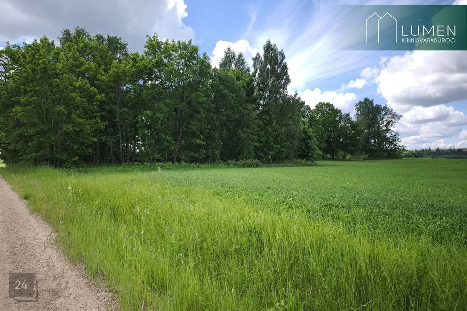 Maatulundusmaa, 3500 m² участок в Räpina vald, Väike-Veerksu küla - фото 3