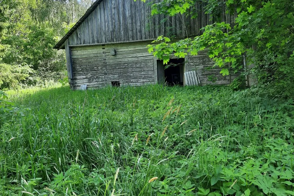 Elamumaa, 8553 m² Maa  -  Põhja-Sakala vald, Seruküla - foto 2