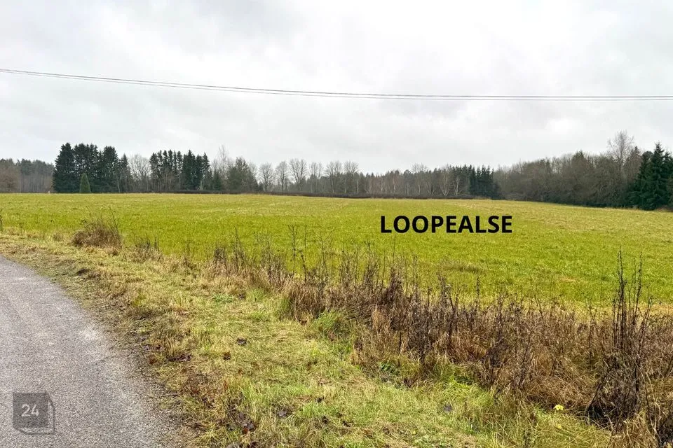 Maatulundusmaa, 27219 m² Maa  -  Anija vald, Looküla - foto 2