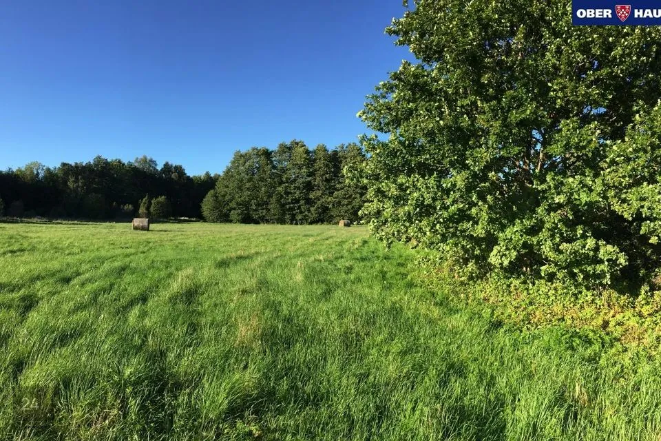 Cultivated land, 4154 m² land in Lääneranna vald, Raespa küla - photo 4