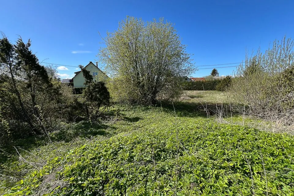 Elamumaa, 1408 m² Maa  -  Harku vald, Viti küla - foto 5