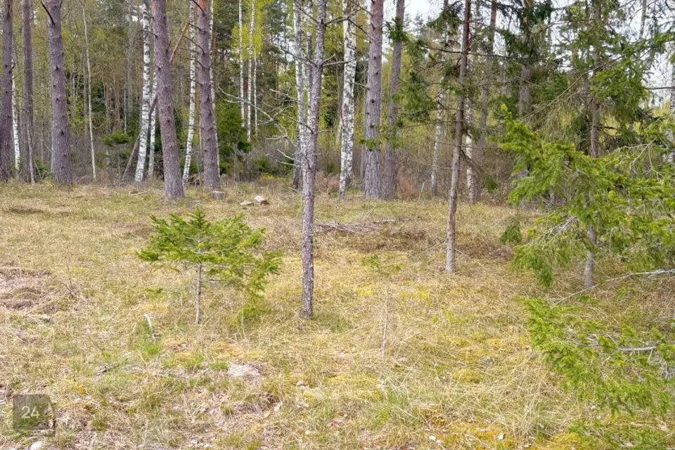 Maatulundusmaa, 60038 m² участок в Hiiumaa vald, Mänspe küla - фото 2