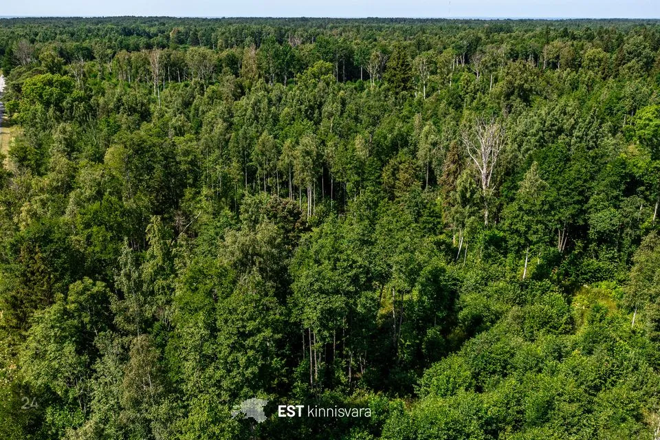 Maatulundusmaa, 10009 m² участок в Lääneranna vald, Rädi küla - фото 3